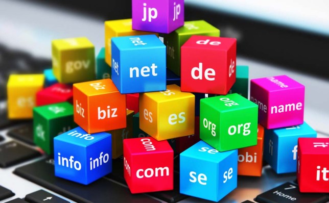 Apa Itu Nama Domain? Cara Memilih dan Membeli Nama Domain