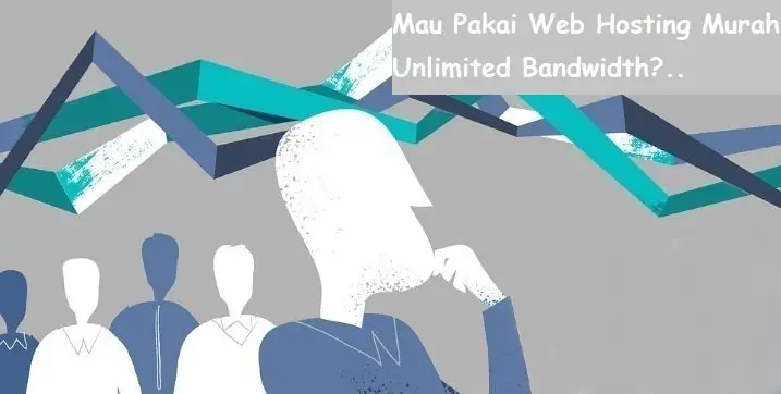 Mau Pakai Web Hosting Murah Unlimited Bandwidth?..
